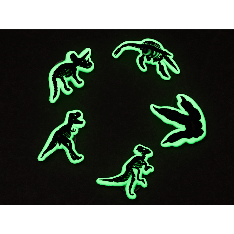 Crocs Discount | Glow In The Dark Dino 5 Pack Jibbitz Shoe Charm