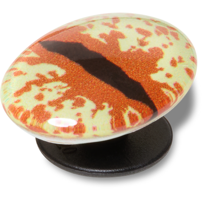 Crocs - Hazel Animal Eye Jibbitz™ charms Women|Men|Jibbitz™ Charms