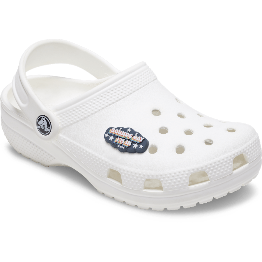 Crocs US | Sounds Gay Im In Jibbitz™ charms